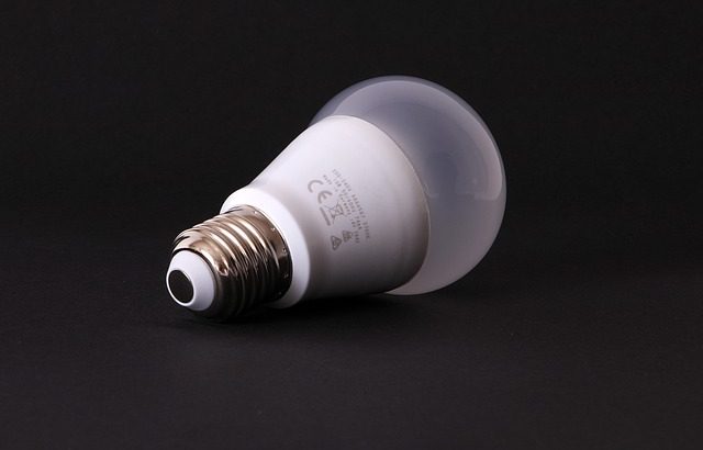 LED bulbs